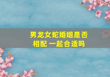 男龙女蛇婚姻是否相配 一起合适吗